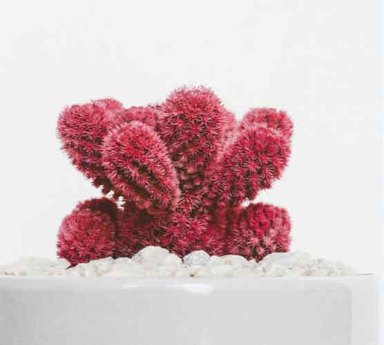 工业互联网门户